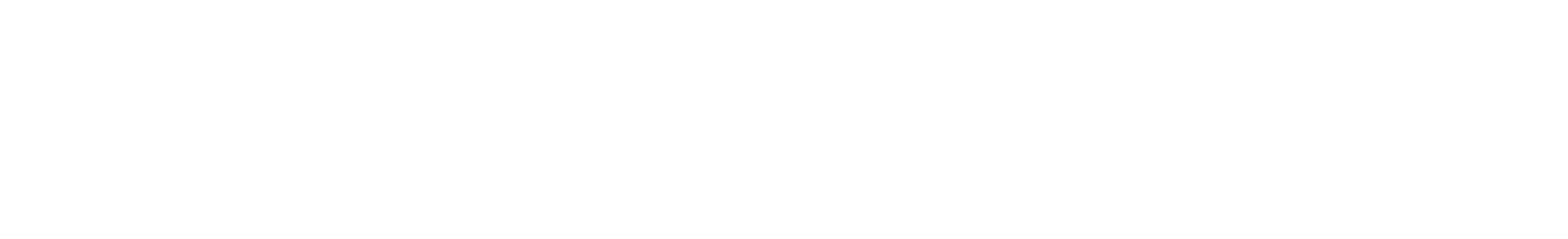 Logo Flexidriver